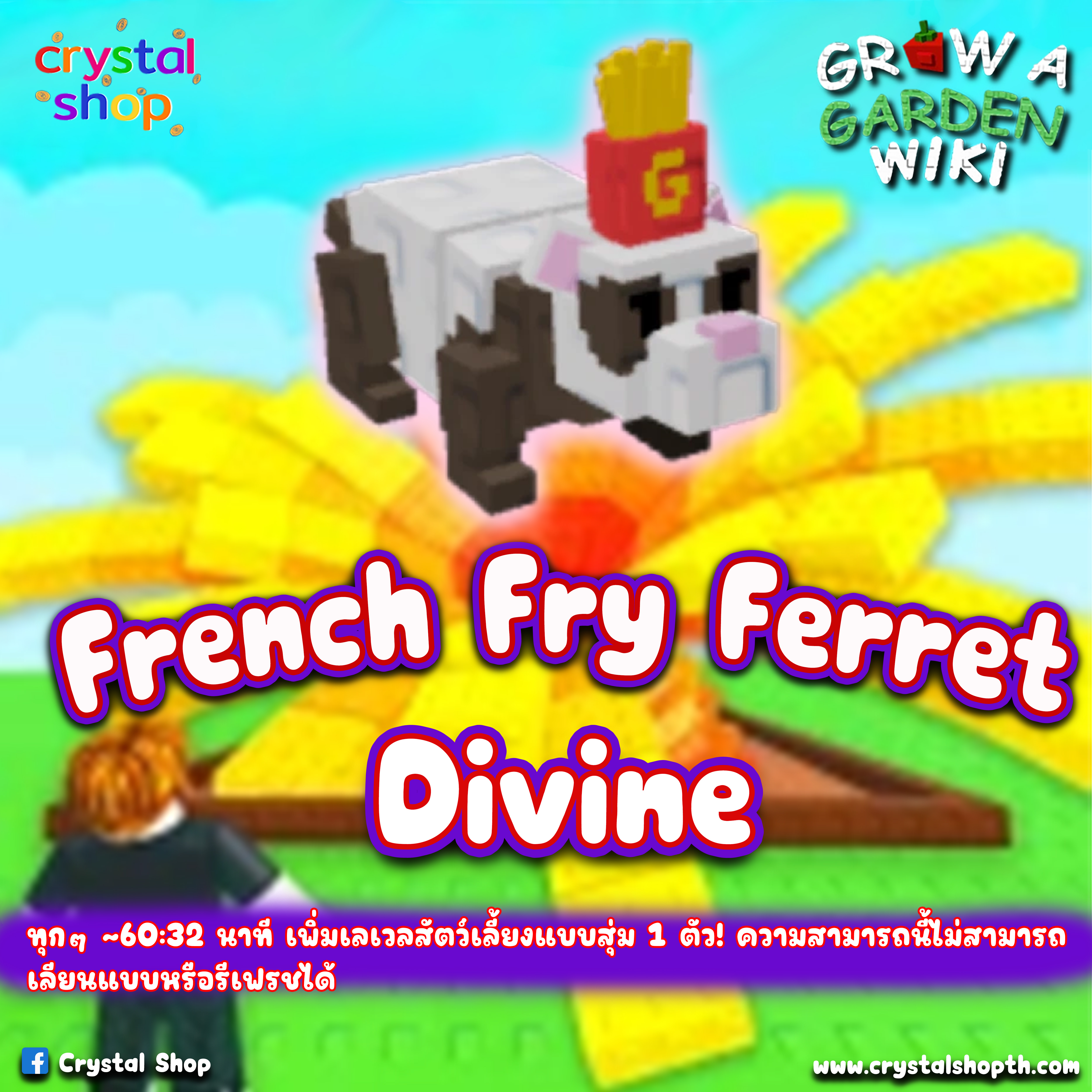French Fry Ferret